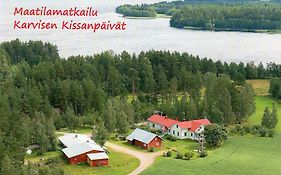 Karvisen Kissanpäivät Joensuun lähellä